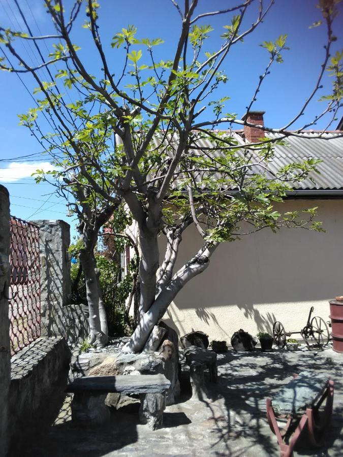 Apartmani Pinkum Veliko Gradište Esterno foto